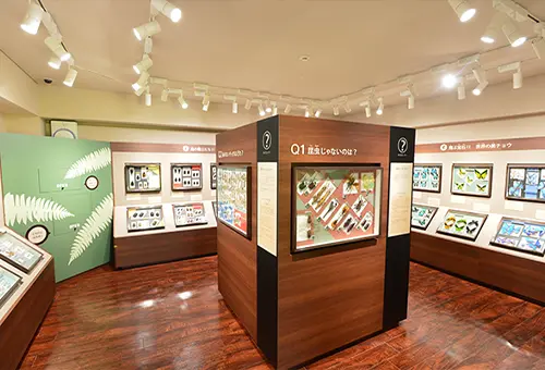 名和昆虫博物館