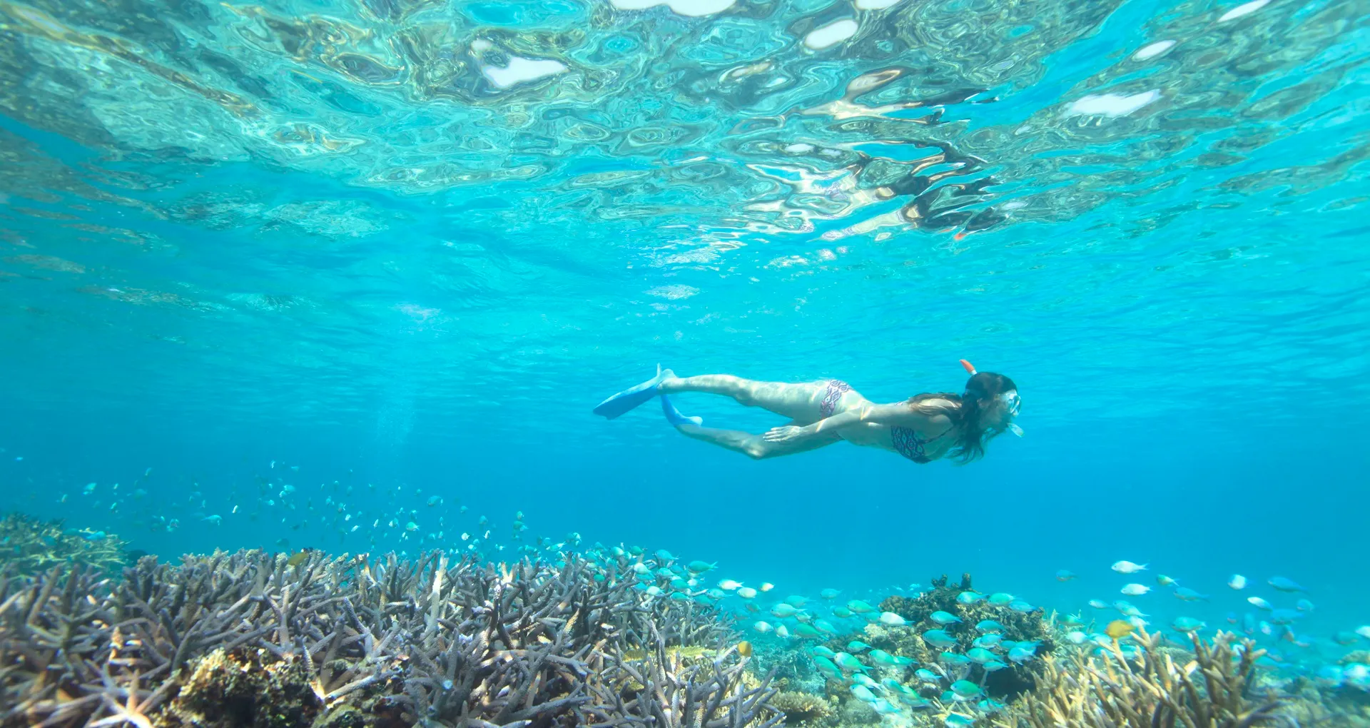 シュノーケリング