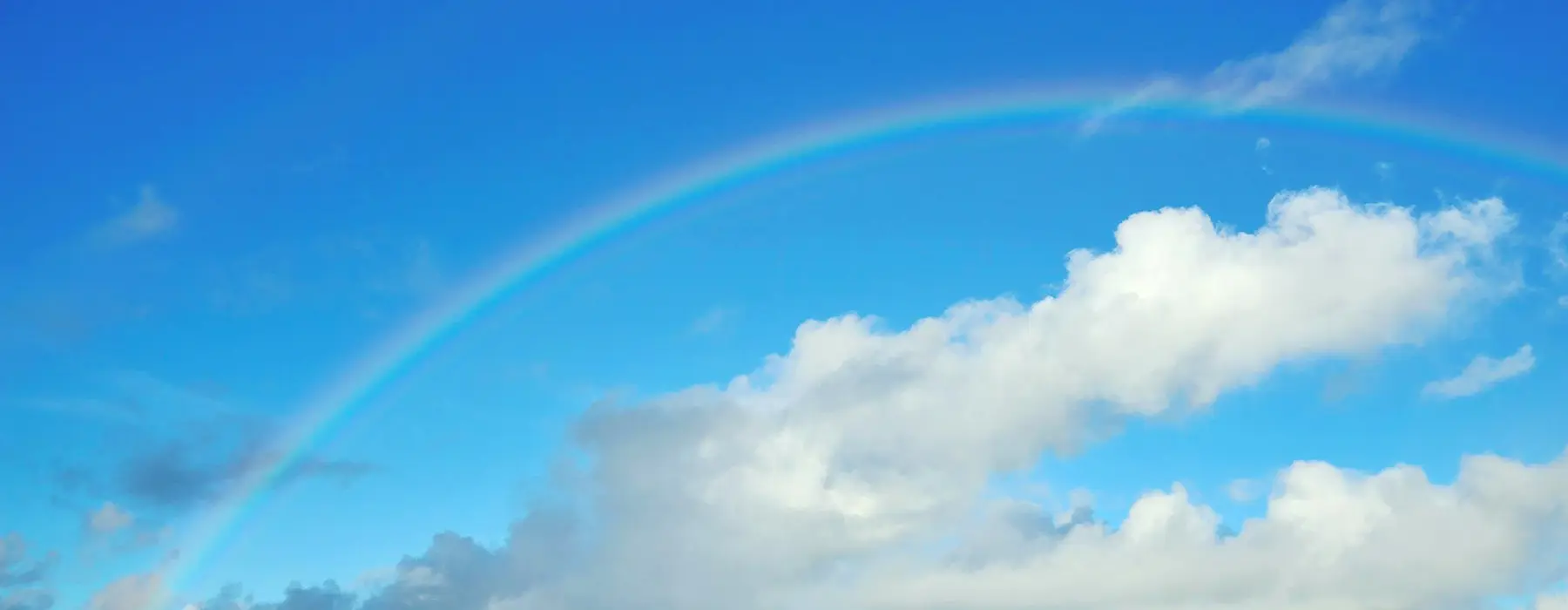 三井不動産からのメッセージ