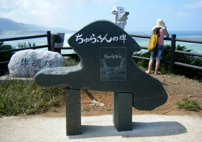 創業会社によるリゾートパイオニア時代