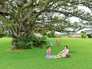 ピクニックブレックファスト