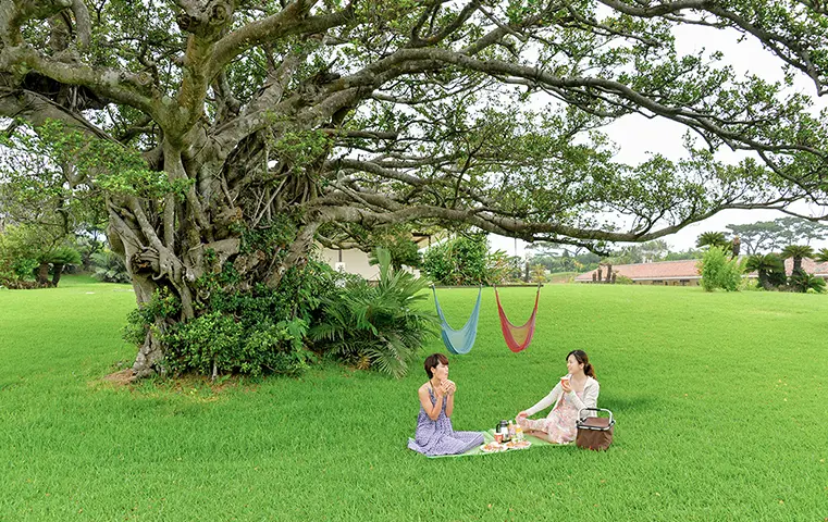 ピクニックブレックファスト